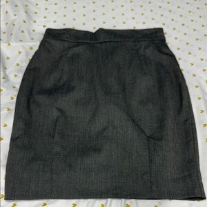 Elegant Gray Women's Skirt
